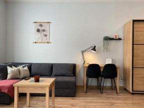Apartament Górna 33